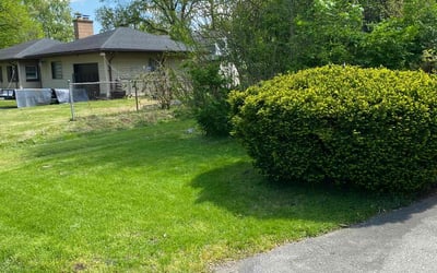 Photo of Stacey D.'s yard after getting lawn care in Gary, IN