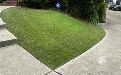 Photo of Paul S.'s yard after getting lawn care in Birmingham, AL