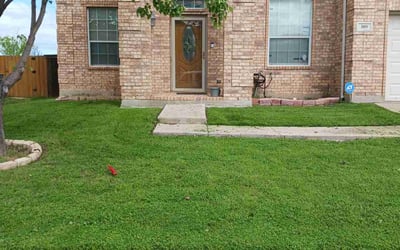 Photo of Glorianna C.'s yard after getting lawn care in Monterey, CA