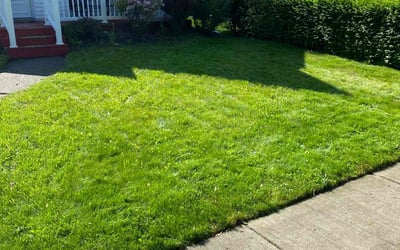 Photo of Janice D.'s yard after getting lawn care in Middletown, CT
