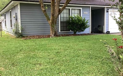 Photo of Heather L.'s yard after getting lawn care in Carmichael, CA