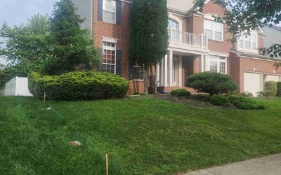 Photo of John S.'s yard after getting lawn care in Medford, MA