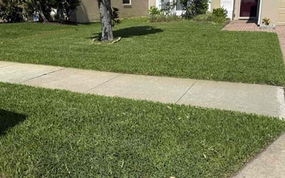 Photo of Rachel B.'s yard after getting lawn care in South El Monte, CA