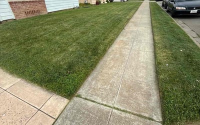 Photo of Harriet W.'s yard after getting lawn care in Castro Valley, CA