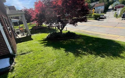 Photo of cassandra b.'s yard after getting lawn care in Clairton, PA