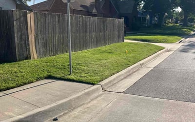 Photo of Patricia B.'s yard after getting lawn care in Merrillville, IN
