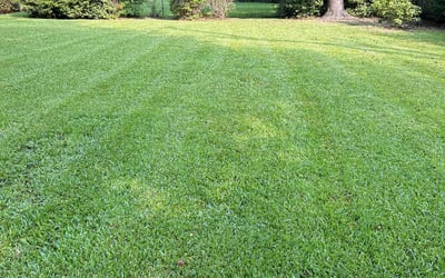 Photo of Aaron T.'s yard after getting lawn care in Hanahan, SC