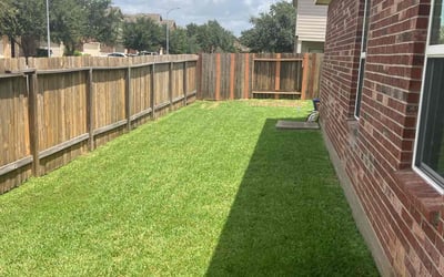Photo of Anton H.'s yard after getting lawn care in Martinez, CA