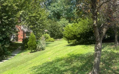 Photo of Donna V.'s yard after getting lawn care in Springfield, PA