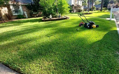 Photo of Mickey W.'s yard after getting lawn care in Crosby, TX