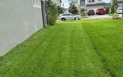 Photo of Nicola C.'s yard after getting lawn care in Weeki Wachee, FL