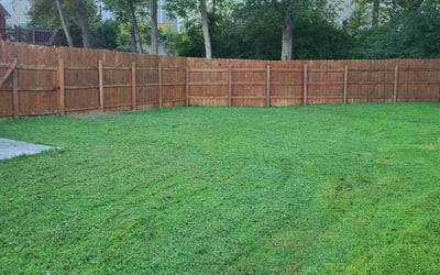 Photo of Nina G.'s yard after getting tree care in Cartersville, GA