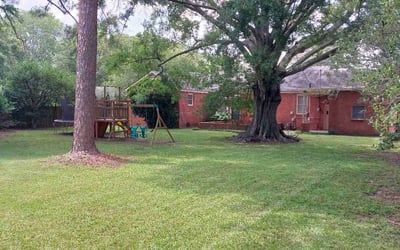 Photo of Vanessa H.'s yard after getting lawn care in Homestead, FL