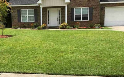 Photo of Tj M.'s yard after getting lawn care in Jacksonville, FL