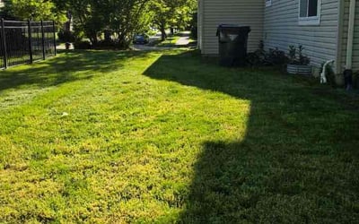 Photo of Ying W.'s yard after getting lawn care in South Hadley, MA