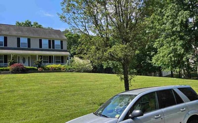 Photo of John R.'s yard after getting lawn care in Jackson, NJ