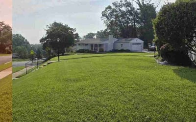 Photo of Gloria R.'s yard after getting lawn care in Hemet, CA