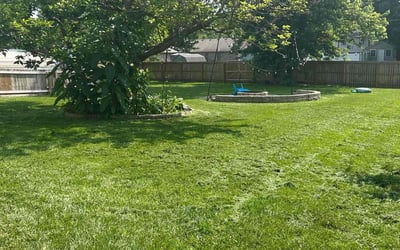 Photo of Montre D.'s yard after getting lawn care in Spring, TX
