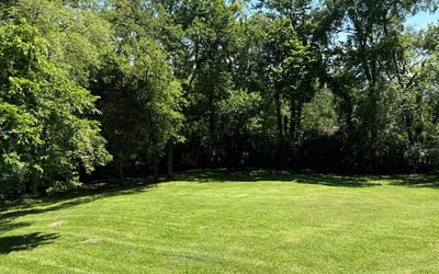 Photo of Shady E.'s yard after getting lawn care in Nashville, TN