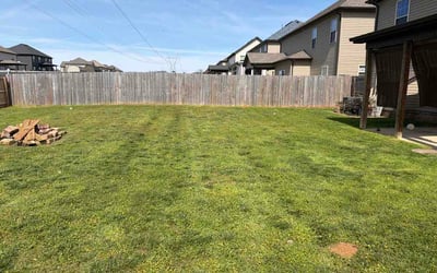 Photo of Dorinda Y.'s yard after getting lawn care in Havertown, PA