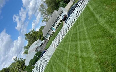 Photo of Bob C.'s yard after getting lawn care in Chicago Heights, IL