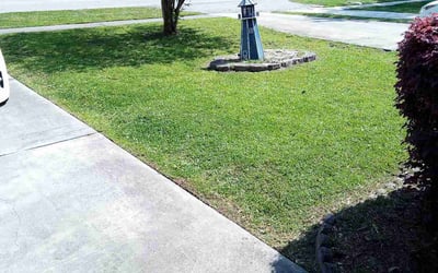 Photo of Yurika H.'s yard after getting lawn care in Watervliet, NY