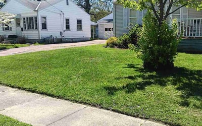 Photo of Misty J.'s yard after getting lawn care in Struthers, OH