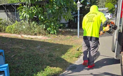 Photo of Justin B.'s yard after getting lawn care in Saugus, MA