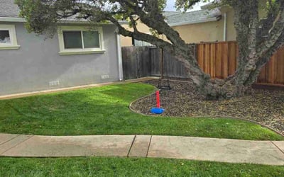 Photo of Michele S.'s yard after getting lawn care in Oakley, CA