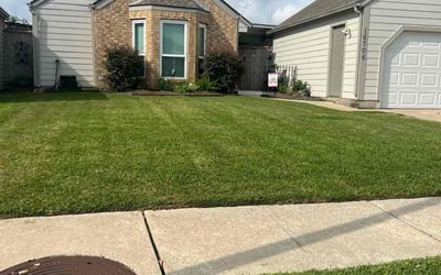 Photo of Christina C.'s yard after getting lawn care in Newport News, VA