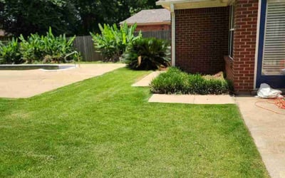 Photo of Laurie S.'s yard after getting lawn care in Walker, LA