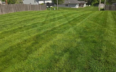 Photo of Barbara W.'s yard after getting lawn care in Gladstone, MO
