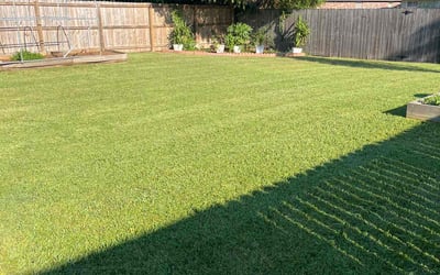 Photo of Charlotte D.'s yard after getting lawn care in Kaplan, LA
