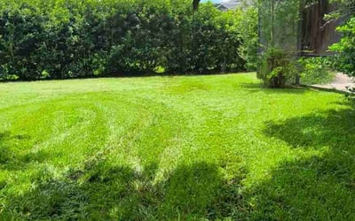 Photo of Tom L.'s yard after getting lawn care in Alafaya, FL