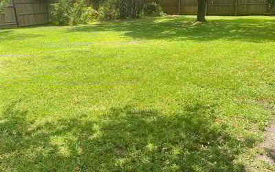 Photo of Dana B.'s yard after getting lawn care in Plano, TX