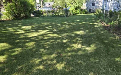 Photo of Dawn C.'s yard after getting lawn care in Evansville, IN