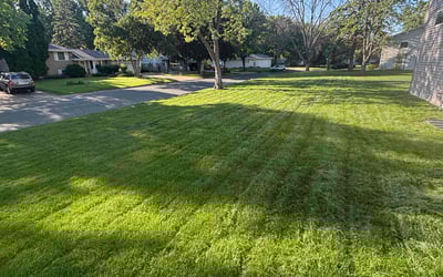 Photo of Hayden G.'s yard after getting lawn care in Fort Worth, TX