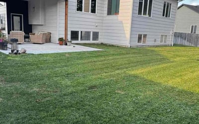 Photo of Lauren C.'s yard after getting tree care in Ball Ground, GA