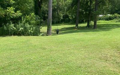 Photo of Chris S.'s yard after getting lawn care in Oak Forest, IL