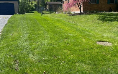 Photo of Victor V.'s yard after getting lawn care in Dayton, OH