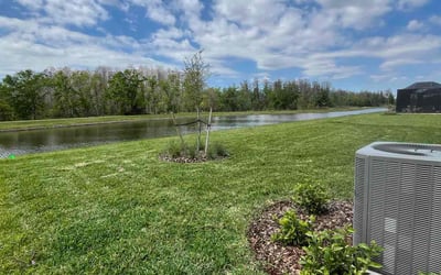 Photo of Alexander P.'s yard after getting lawn care in Land O' Lakes, FL