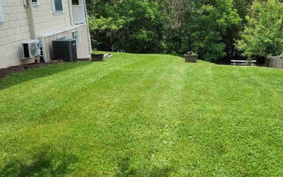 Photo of shez T.'s yard after getting lawn care in Waynesville, NC