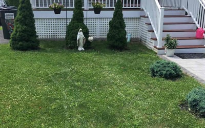 Photo of Katherine D.'s yard after getting lawn care in Newburgh, NY
