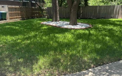Photo of Ayaa K.'s yard after getting lawn care in San Antonio, TX