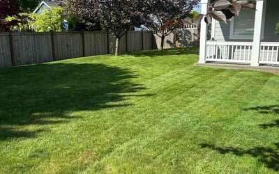 Photo of Judy T.'s yard after getting lawn care in Lakewood, WA