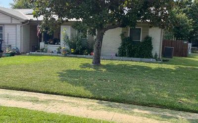 Photo of Demetrius T.'s yard after getting lawn care in Watertown, NY