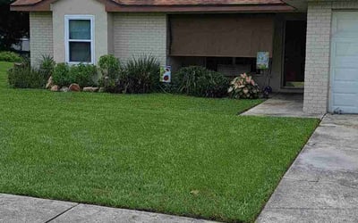Photo of Renai S.'s yard after getting lawn care in East Haven, CT