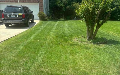 Photo of Malcom J.'s yard after getting lawn care in Mchenry, IL