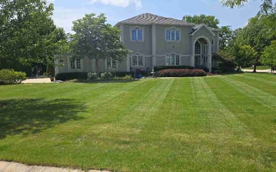 Photo of Charisse M.'s yard after getting lawn care in Everett, WA
