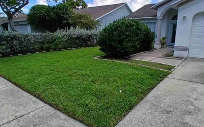 Photo of Amanda M.'s yard after getting lawn care in Marco Island, FL